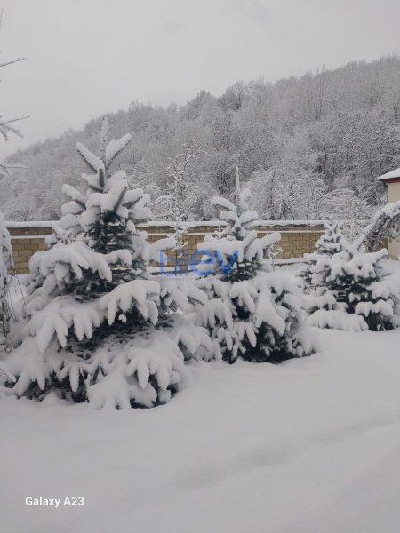 Kirayə (günlük) 2 otaqlı Bağ evi  80m², Quba