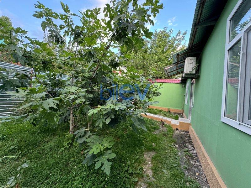 Kirayə (günlük) 2 otaqlı Bağ evi  80m², Qəbələ