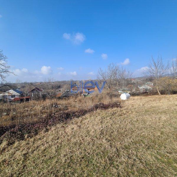 Satış  otaqlı Torpaq  330m², Qəbələ