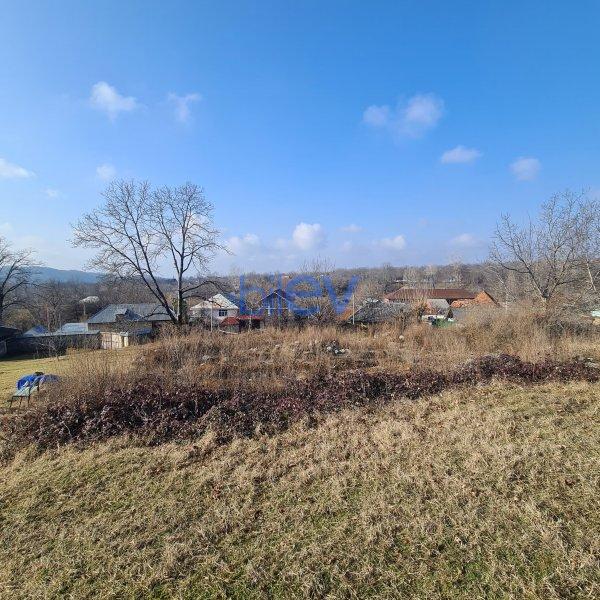 Satış  otaqlı Torpaq  330m², Qəbələ