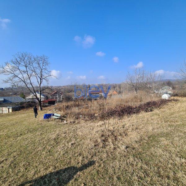 Satış  otaqlı Torpaq  330m², Qəbələ