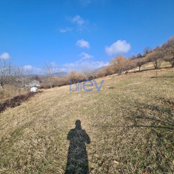 Satış  otaqlı Torpaq  330m², Qəbələ