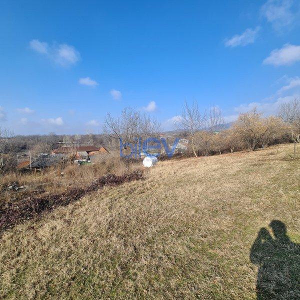 Satış  otaqlı Torpaq  330m², Qəbələ