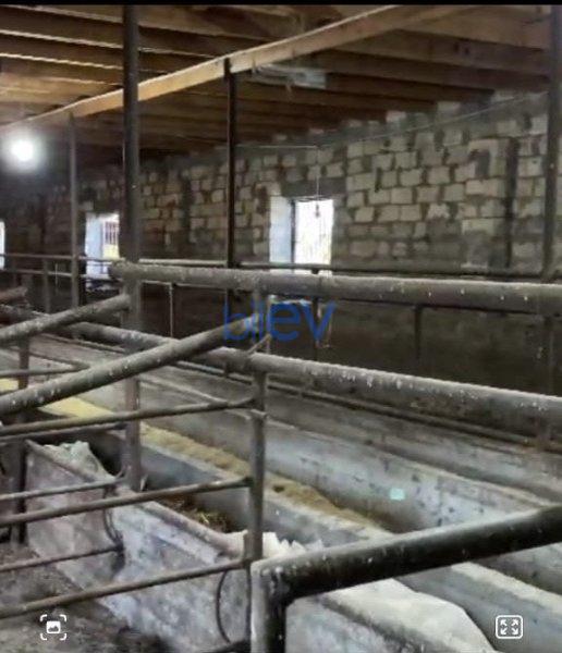 Satış 4 otaqlı Otel  5000m², Qax