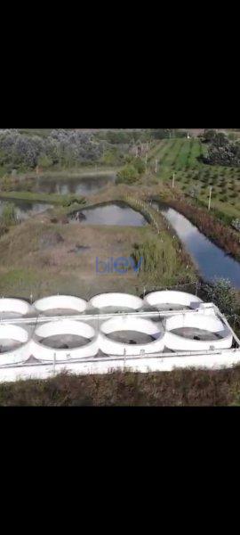 Satış 4 otaqlı Otel  5000m², Qax
