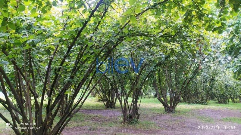 Günlük Kirayə 3 otaqlı Bağ evi  70m², Oğuz
