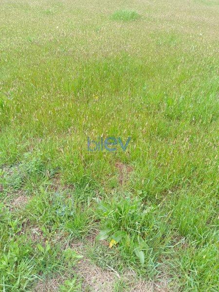Satılır  otaqlı Torpaq  2m², Bakı