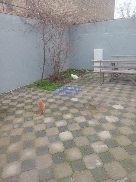 Satış 3 otaqlı Həyət evi  2 sot m², Bakı