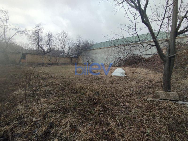 Satış 0 otaqlı Torpaq  4m², Qəbələ