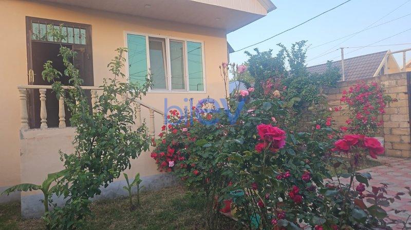 Günlük Kirayə 4 otaqlı Həyət evi  100m², Qəbələ