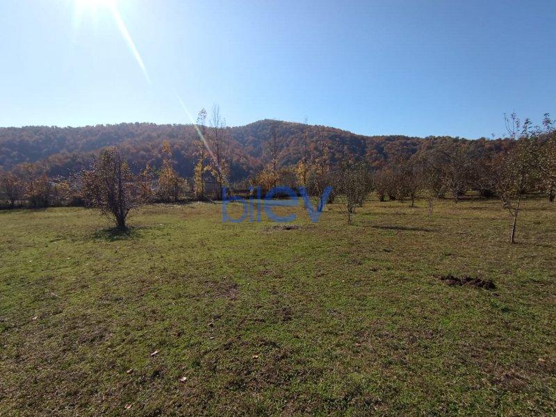 Satış 0 otaqlı Torpaq  17.5m², Qəbələ