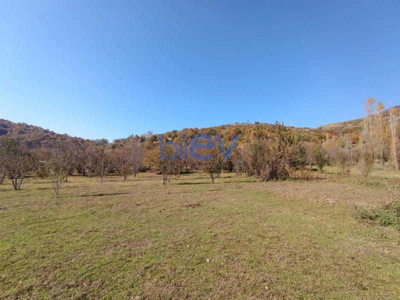 Satış 0 otaqlı Torpaq  17.5m², Qəbələ