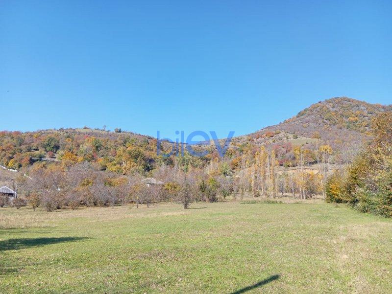Satış 0 otaqlı Torpaq  17.5m², Qəbələ
