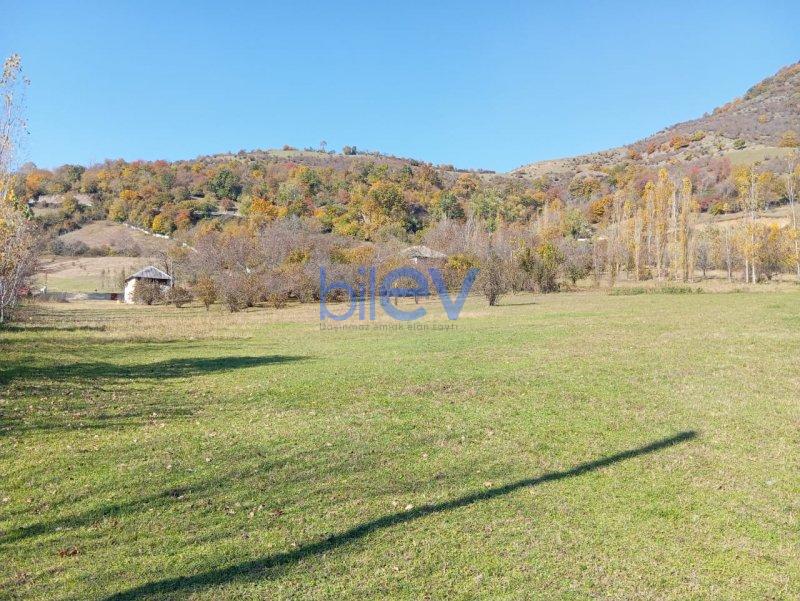 Satış 0 otaqlı Torpaq  17.5m², Qəbələ
