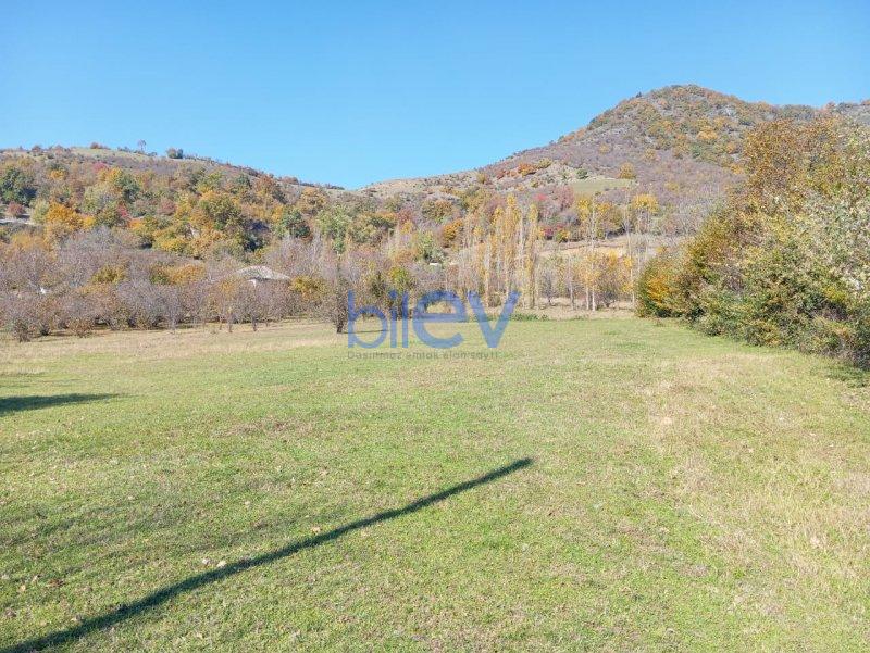 Satış 0 otaqlı Torpaq  17.5m², Qəbələ
