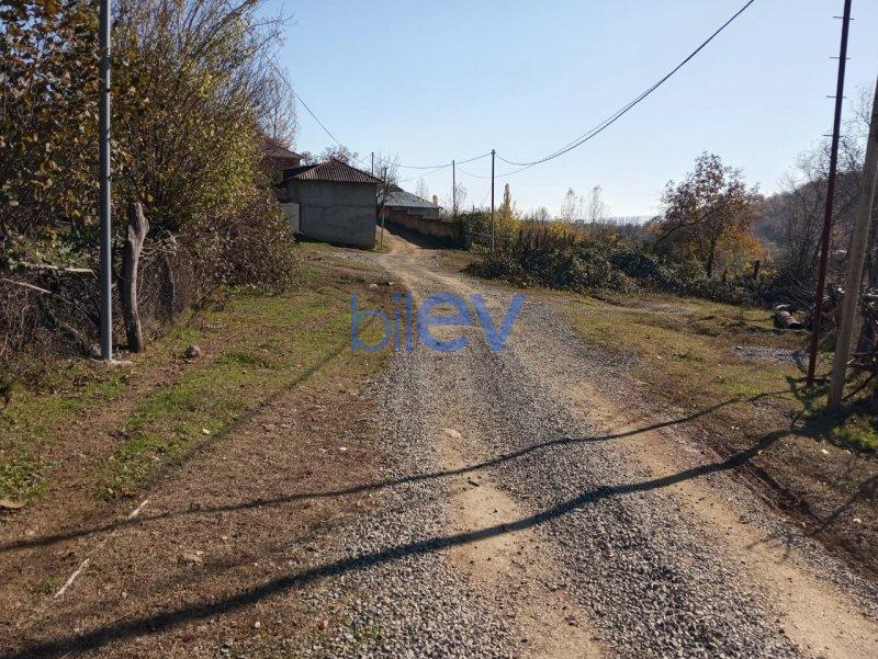 Satış 0 otaqlı Torpaq  17.5m², Qəbələ