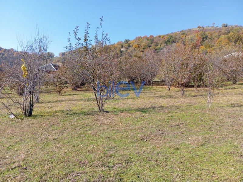 Satış 0 otaqlı Torpaq  17.5m², Qəbələ