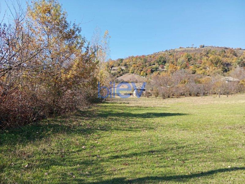Satış 0 otaqlı Torpaq  17.5m², Qəbələ