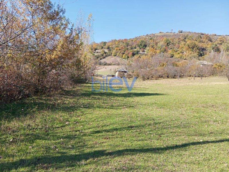Satış 0 otaqlı Torpaq  17.5m², Qəbələ