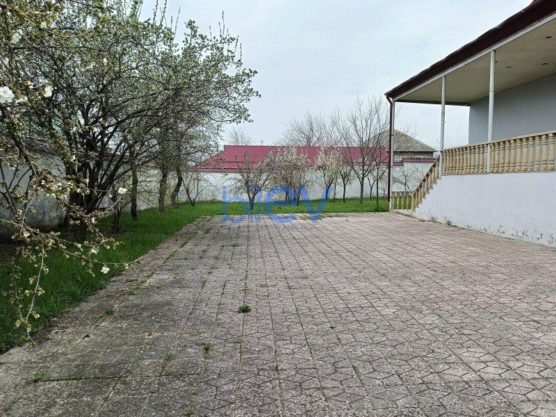 Kirayə (aylıq) 3  otaqlı Həyət evi  200 kblvm², Qəbələ