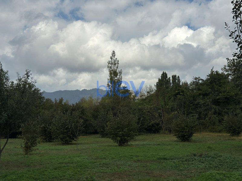 Satılır  otaqlı Torpaq  100m², Qəbələ