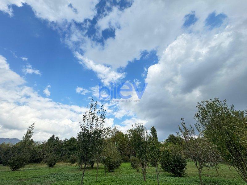 Satılır  otaqlı Torpaq  100m², Qəbələ