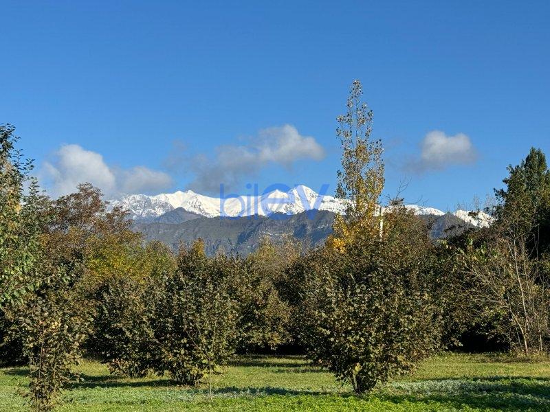 Satılır  otaqlı Torpaq  100m², Qəbələ