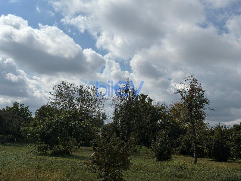 Satılır  otaqlı Torpaq  100m², Qəbələ