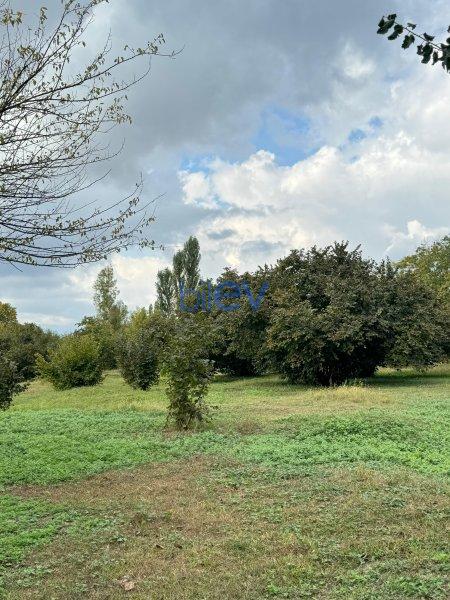 Satılır  otaqlı Torpaq  100m², Qəbələ