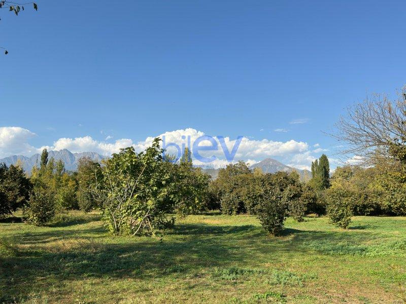 Satılır  otaqlı Torpaq  100m², Qəbələ