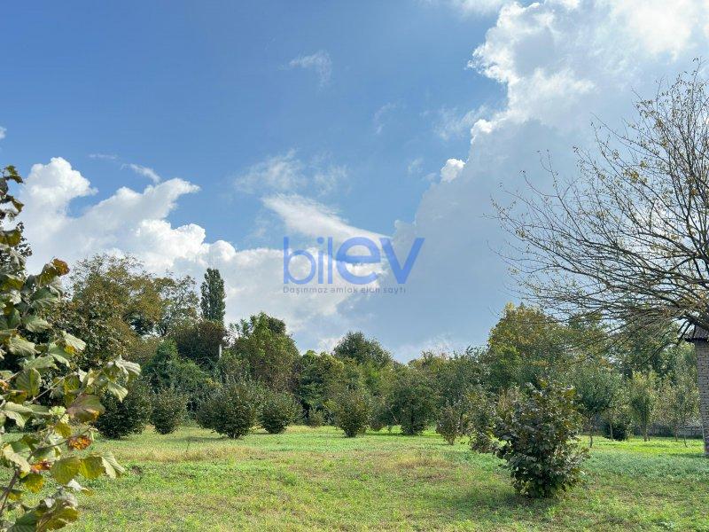 Satılır  otaqlı Torpaq  100m², Qəbələ