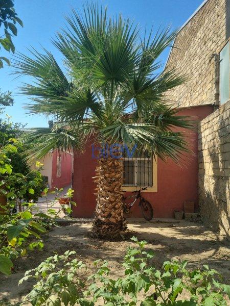 Satılır 2 otaqlı Həyət evi  64m², Bakı
