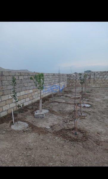 Satılır  otaqlı Torpaq  4m², Bakı