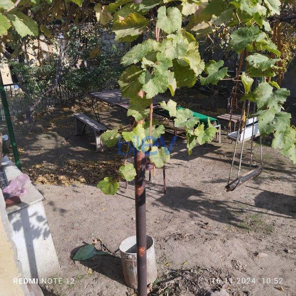 Satılır  otaqlı Torpaq  1.5m², Bakı