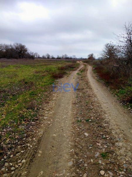 Satılır  otaqlı Torpaq  300 sotm², Xaçmaz / Nabran