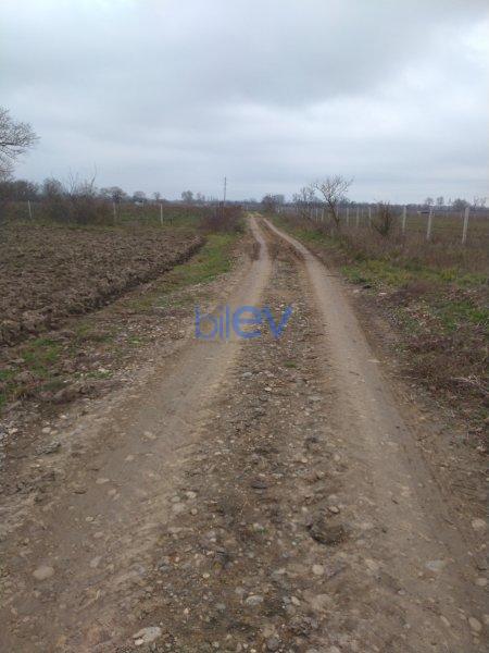 Satılır  otaqlı Torpaq  300 sotm², Xaçmaz / Nabran