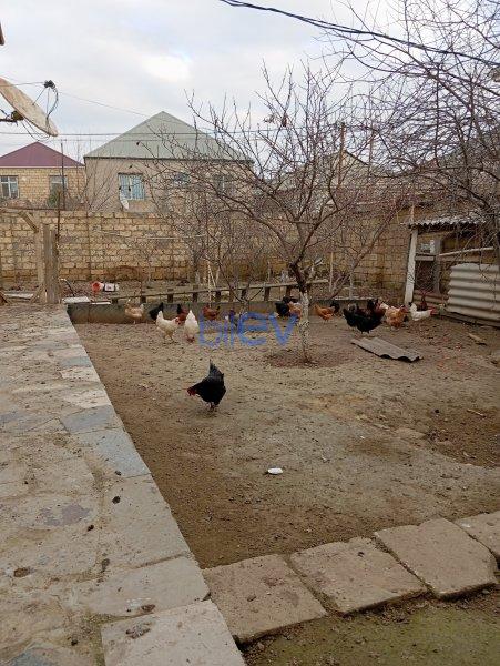 Satılır 4 otaqlı Həyət evi  1.5m², Bakı