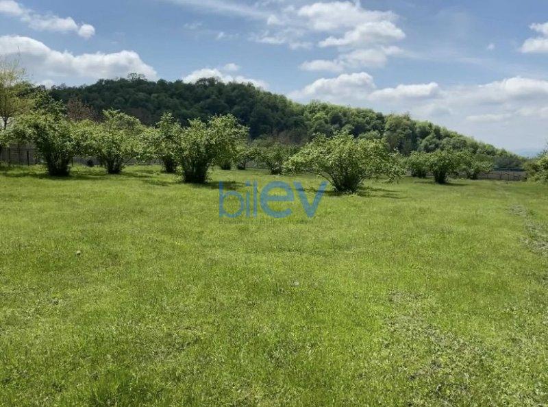 Satılır  otaqlı Torpaq  46m², Qəbələ