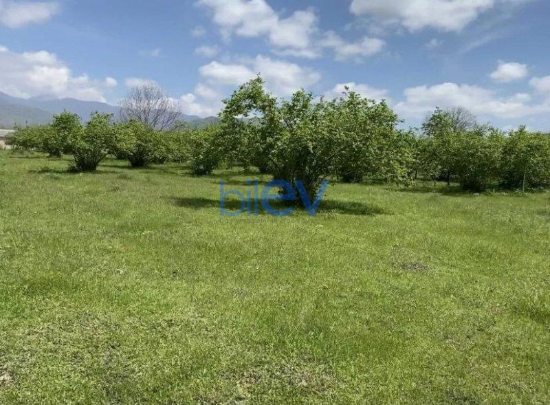 Satılır  otaqlı Torpaq  46m², Qəbələ