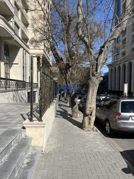 Aylıq Kirayə 2 otaqlı Obyekt  310m², Bakı