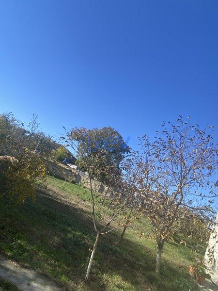 Satılır  otaqlı Torpaq  6m², Xaçmaz / Xudat