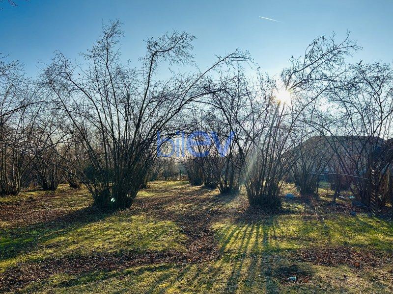 Satış 4 otaqlı Həyət evi  200m², Oğuz