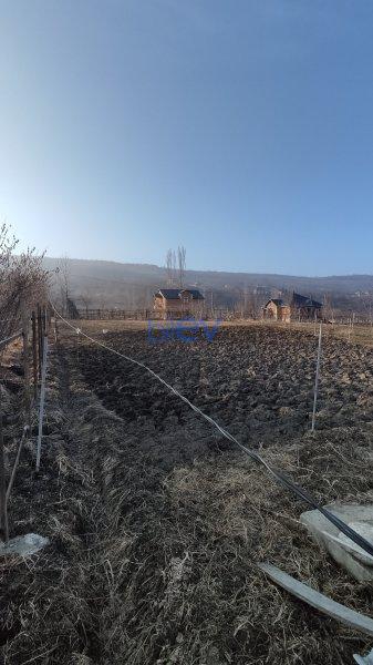 Kirayə (aylıq)  otaqlı Torpaq  800m², Quba