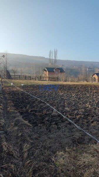 Kirayə (aylıq)  otaqlı Torpaq  800m², Quba