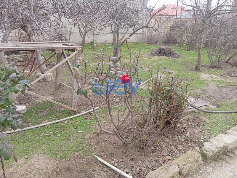 Satış 5 otaqlı Bağ evi  10m², Bakı
