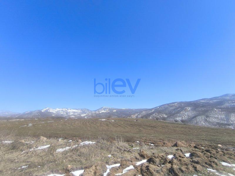 Satış  otaqlı Torpaq  1.8722m², Şamaxı