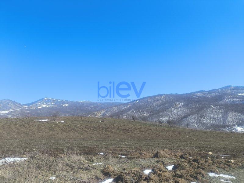 Satış  otaqlı Torpaq  1.8722m², Şamaxı