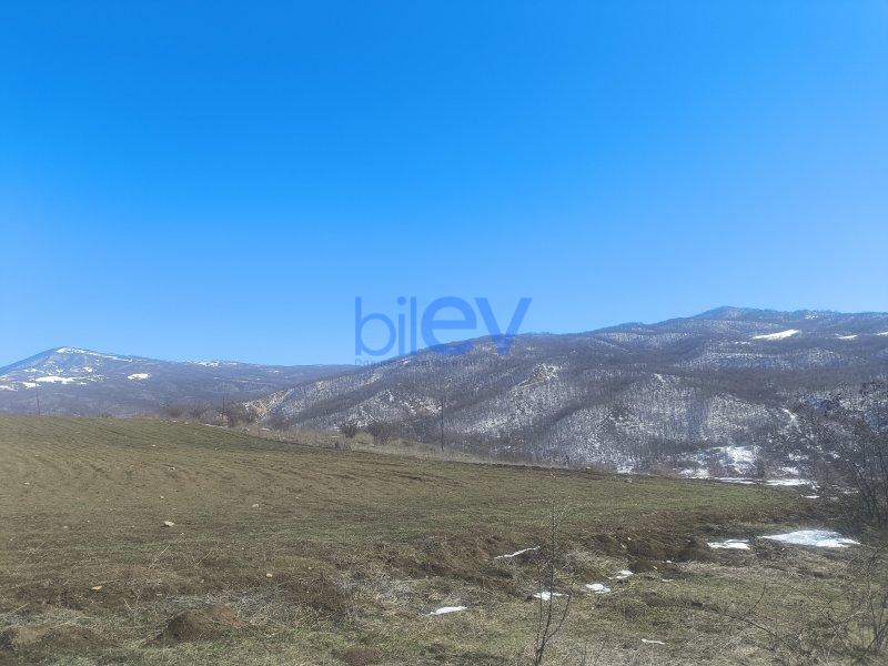 Satış  otaqlı Torpaq  1.8722m², Şamaxı