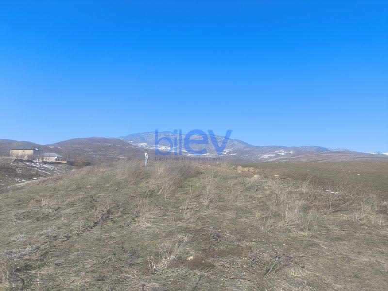 Satış  otaqlı Torpaq  1.8722m², Şamaxı