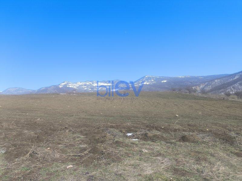 Satış  otaqlı Torpaq  1.8722m², Şamaxı
